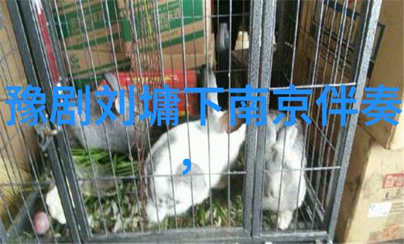 豫剧的流派祥符调